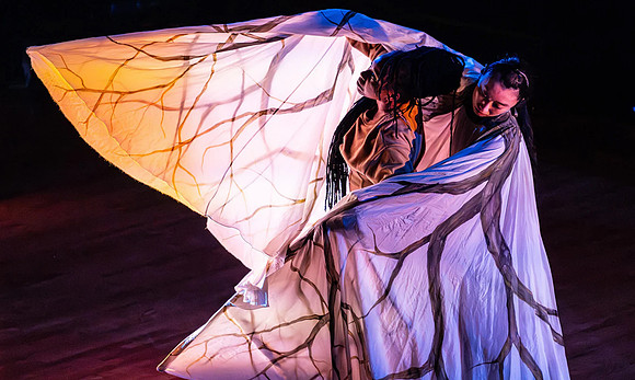 Arbor / Time Lapse Dance - Photograph, Richard J Velasco